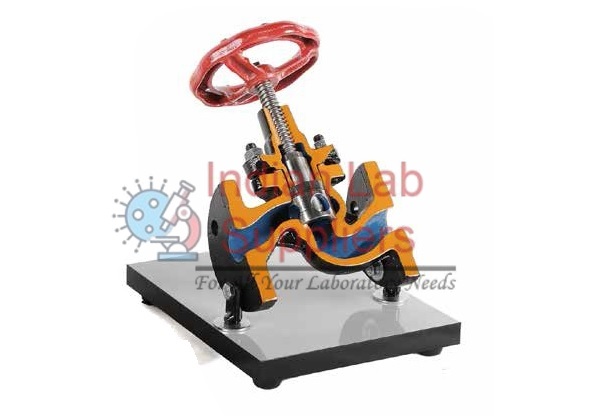 Cutaway Steam Gate Valve